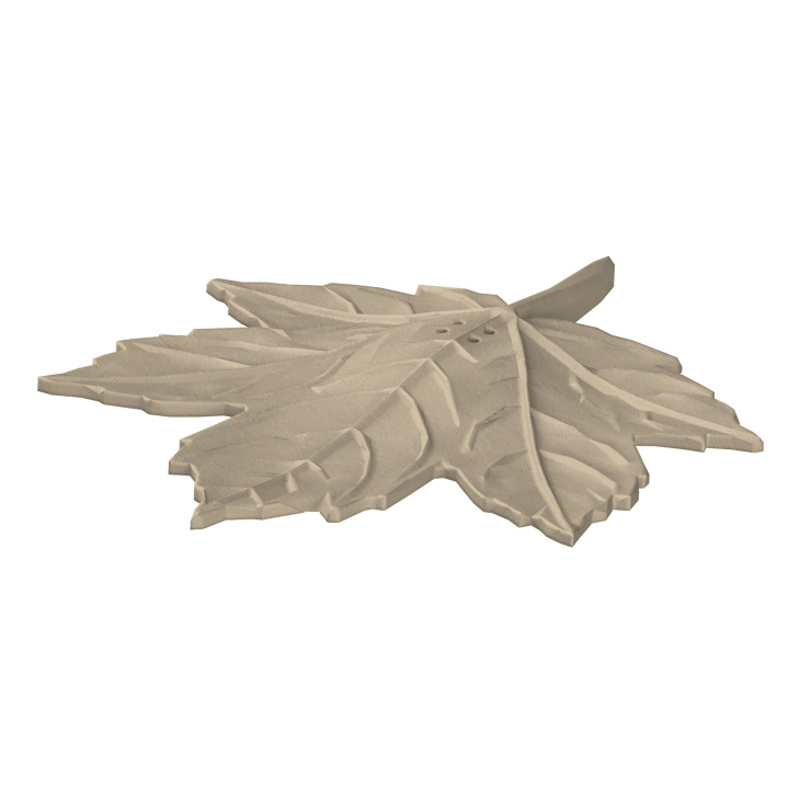 Atrapa klonowego liścia do trenowania scent work