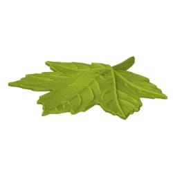 Atrapa klonowego liścia do trenowania scent work