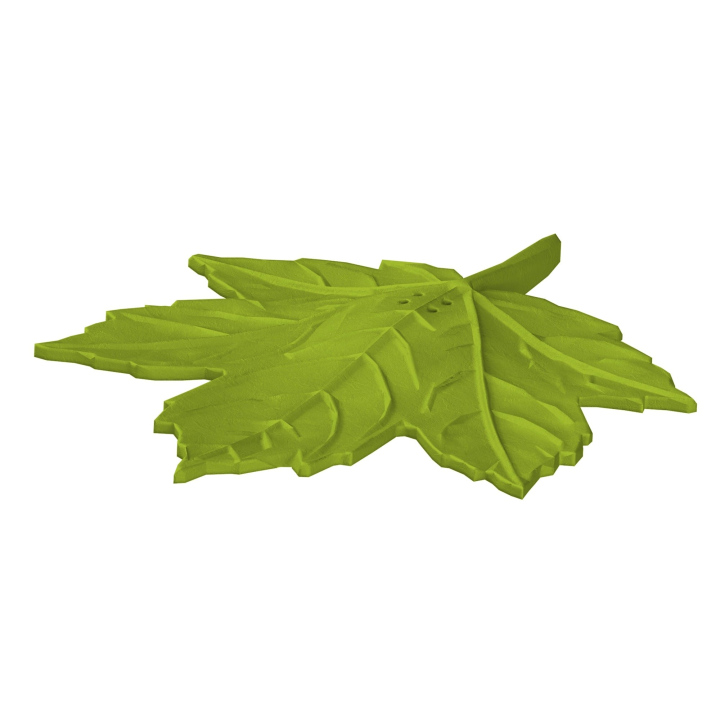 Atrapa klonowego liścia do trenowania scent work