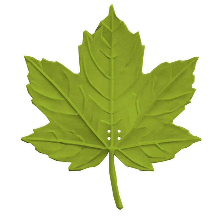 Realistyczna atrapa liścia klonu do treningów z psem