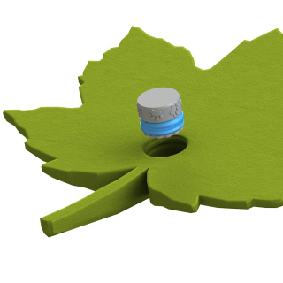 Liść klonu - fake leaf for scent training