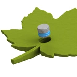 Mocowanie pudełka Fluonose Nano+ w zabawce węchowej Liść klonu