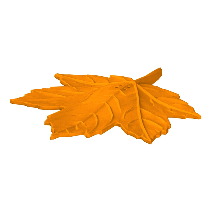 Atrapa klonowego liścia do trenowania scent work