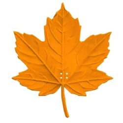 Realistyczna atrapa liścia klonu do treningów z psem