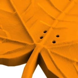 Otwory w atrapie liścia klonu