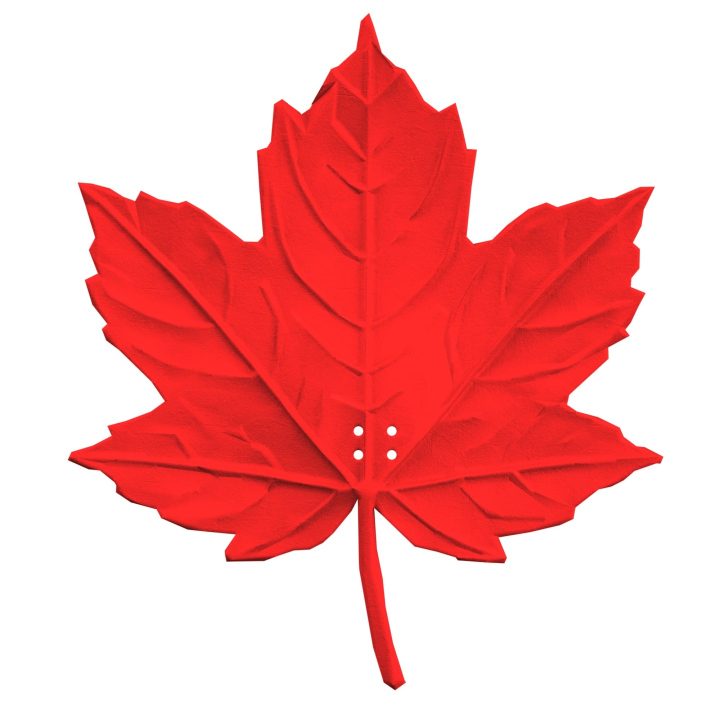 Realistyczna atrapa liścia klonu do treningów z psem