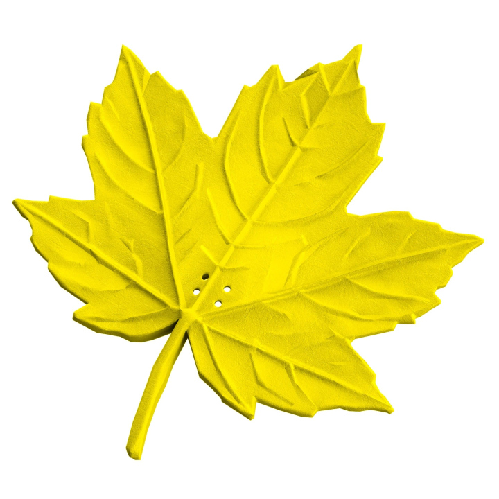 Liść klonu - atrapa do ćwiczeń węchowych z psem