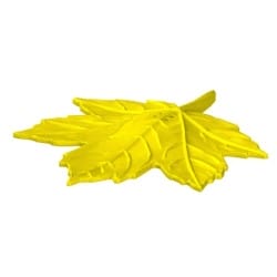 Atrapa klonowego liścia do trenowania scent work