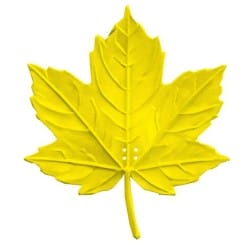 Realistyczna atrapa liścia klonu do treningów z psem