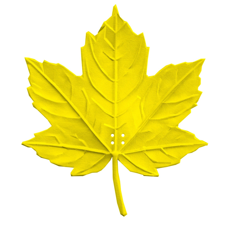 Realistyczna atrapa liścia klonu do treningów z psem