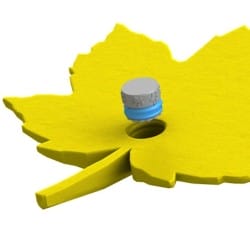 Mocowanie pudełka Fluonose Nano+ w zabawce węchowej Liść klonu