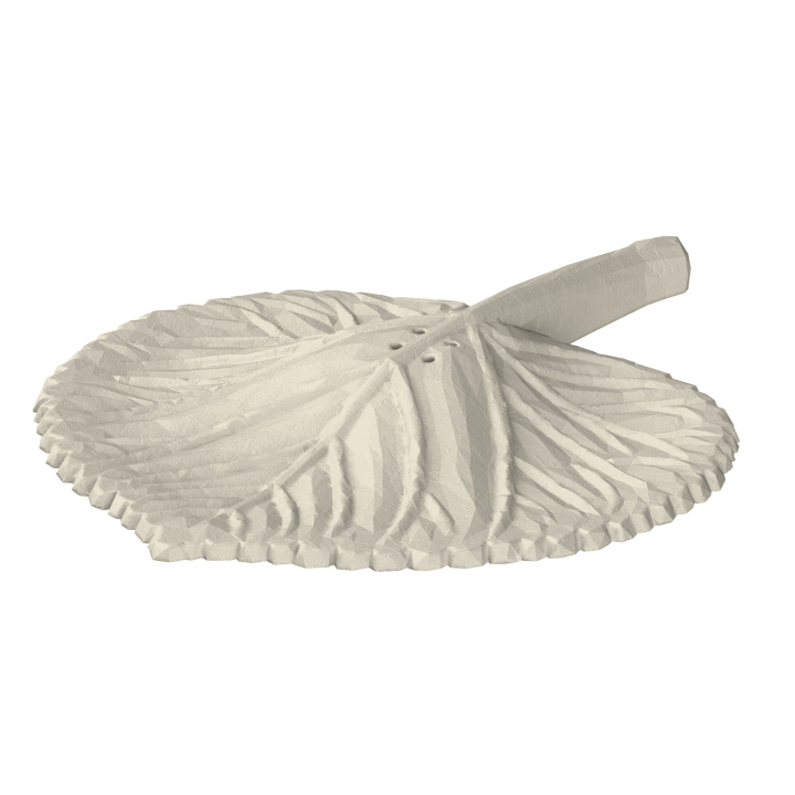 Atrapa liścia z lipy do trenowania scent work