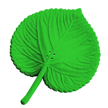 Liść lipy - atrapa do ćwiczeń węchowych z psem