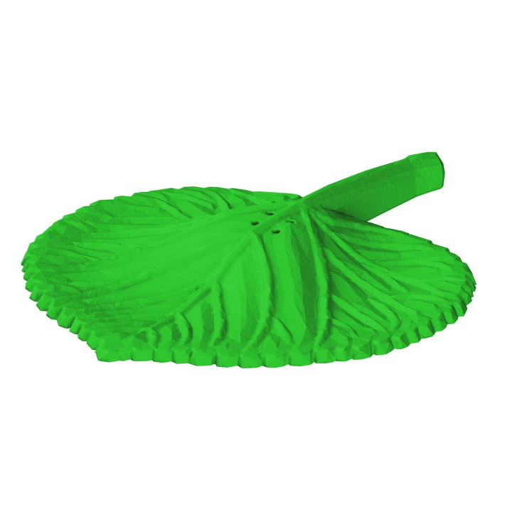 Atrapa liścia z lipy do trenowania scent work