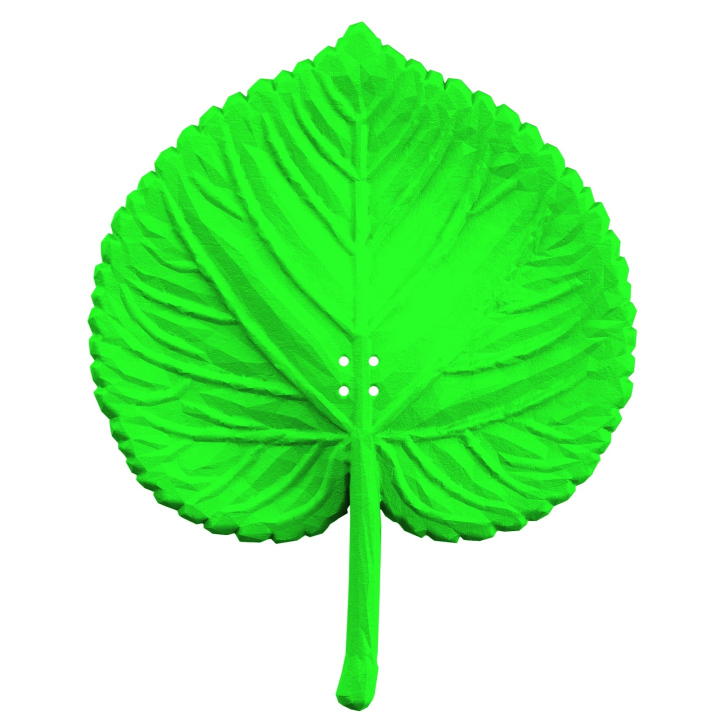 Realistyczna atrapa liścia lipy do treningów z psem