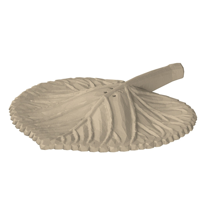 Atrapa liścia z lipy do trenowania scent work