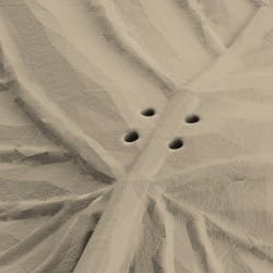 Otwory w atrapie liścia lipy