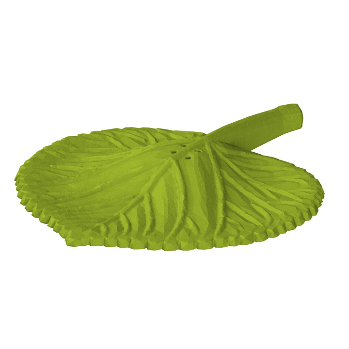 Atrapa liścia z lipy do trenowania scent work