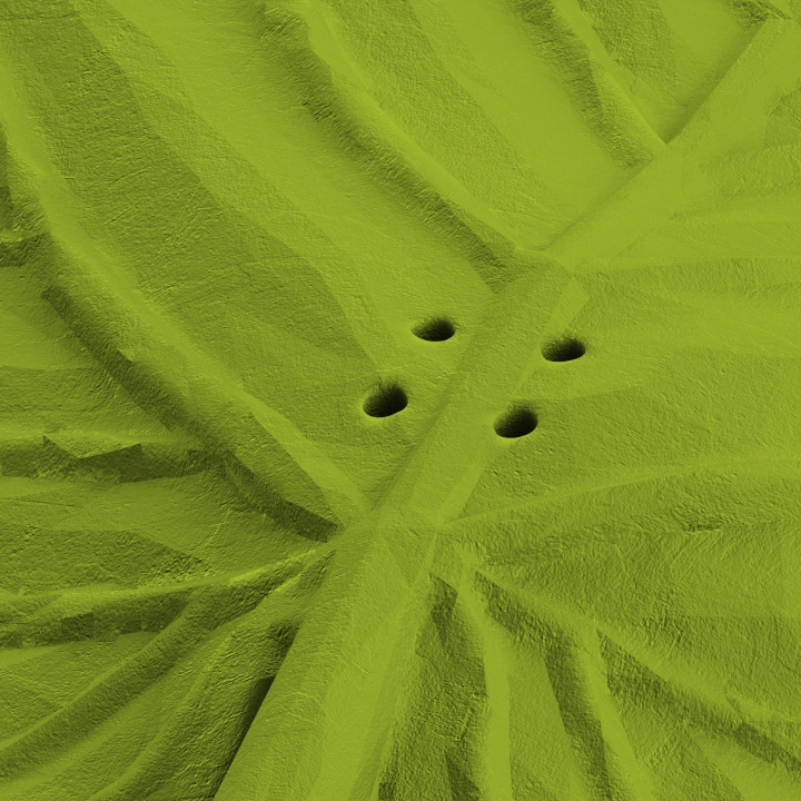 Otwory w atrapie liścia lipy