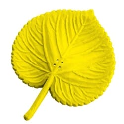 Liść lipy - atrapa do ćwiczeń węchowych z psem