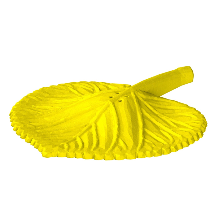 Atrapa liścia z lipy do trenowania scent work