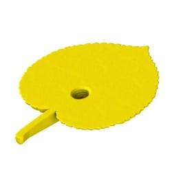 Ukrycie zapachu do treningóe nosework - atrapa liścia z lipy z gniazdem na puszki zapachowe