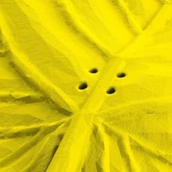 Otwory w atrapie liścia lipy