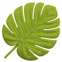 Foglia Monstera – nascondere profumi per addestramenti avanzati di fiuto | Fluo Dog