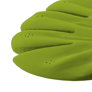 Hoja Monstera – gran escondite de olores para entrenamientos avanzados de olfato