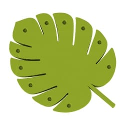 Monstera-lehti – hajujen piilottaminen edistyneisiin hajutyöharjoituksiin | Fluo Dog