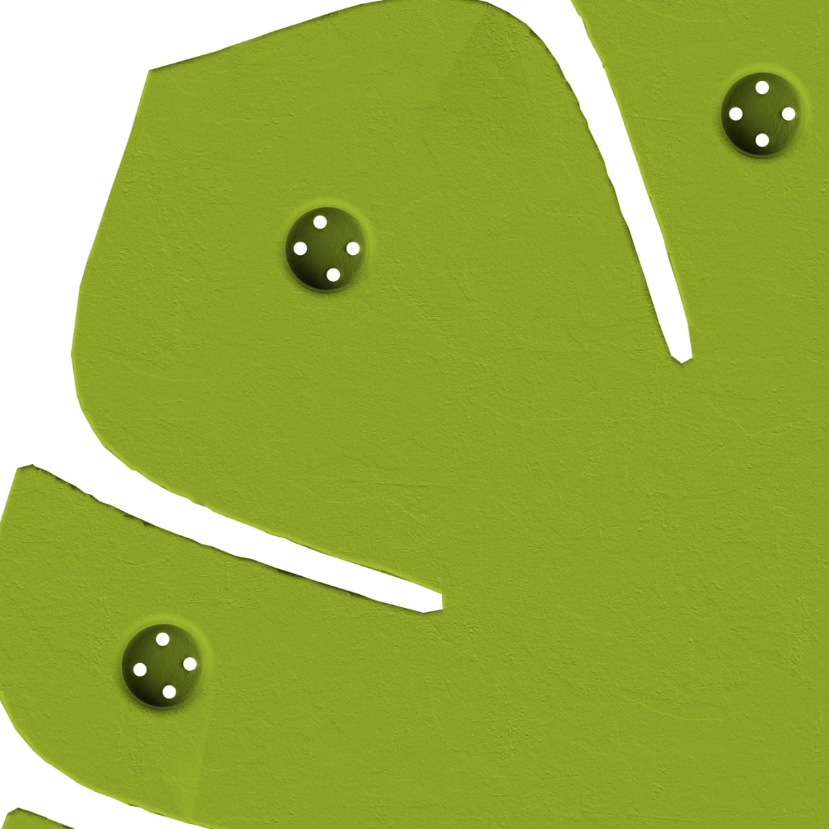 Hoja Monstera – ocultación de olores para entrenamientos avanzados de olfato | Fluo Dog