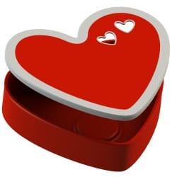 Heart Canister for Scent Work and Nosework | Fluo Dog