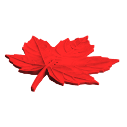 Efterårsblad sæt til scent work – 5 blade + 2 Nano+ dåser gratis | Fluo Dog