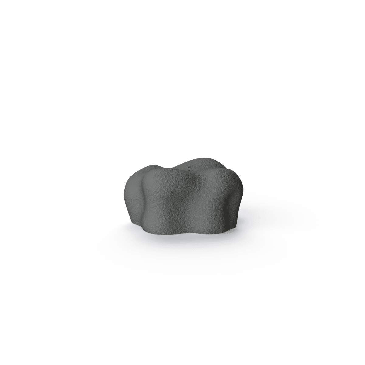 Pequeña piedra de montaña para entrenamientos de nosework - atrapa de piedra natural | Fluo Dog