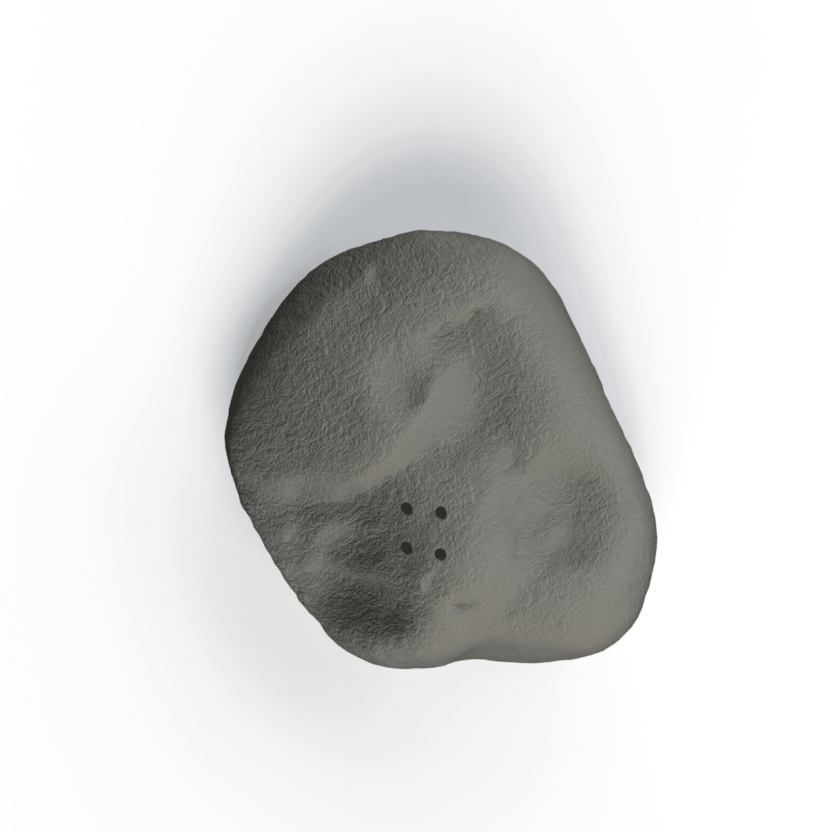 Middelgrote bergsteen voor nosework trainingen - realistische geurverstopplaats | Fluo Dog