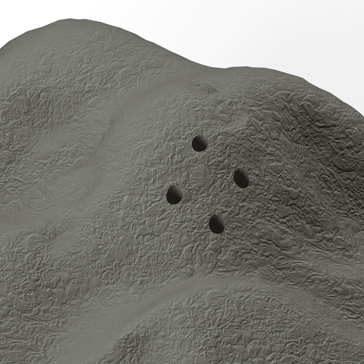 Keskikokoinen vuorikivi nosework-harjoituksiin - realistinen hajujen piilottaminen | Fluo Dog