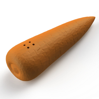 Atrapa Karotte für Nosework – Trainingshilfe für scent work