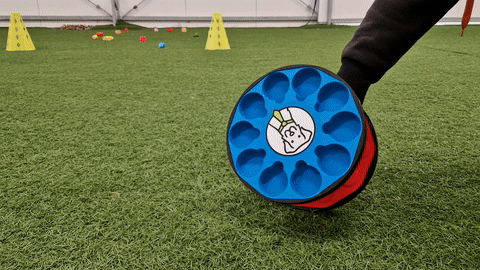 Barile profumato per Nosework - senza gomme