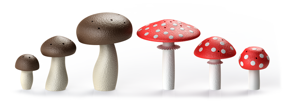 Rozmiary grzybków węchowych do treningów Nosework