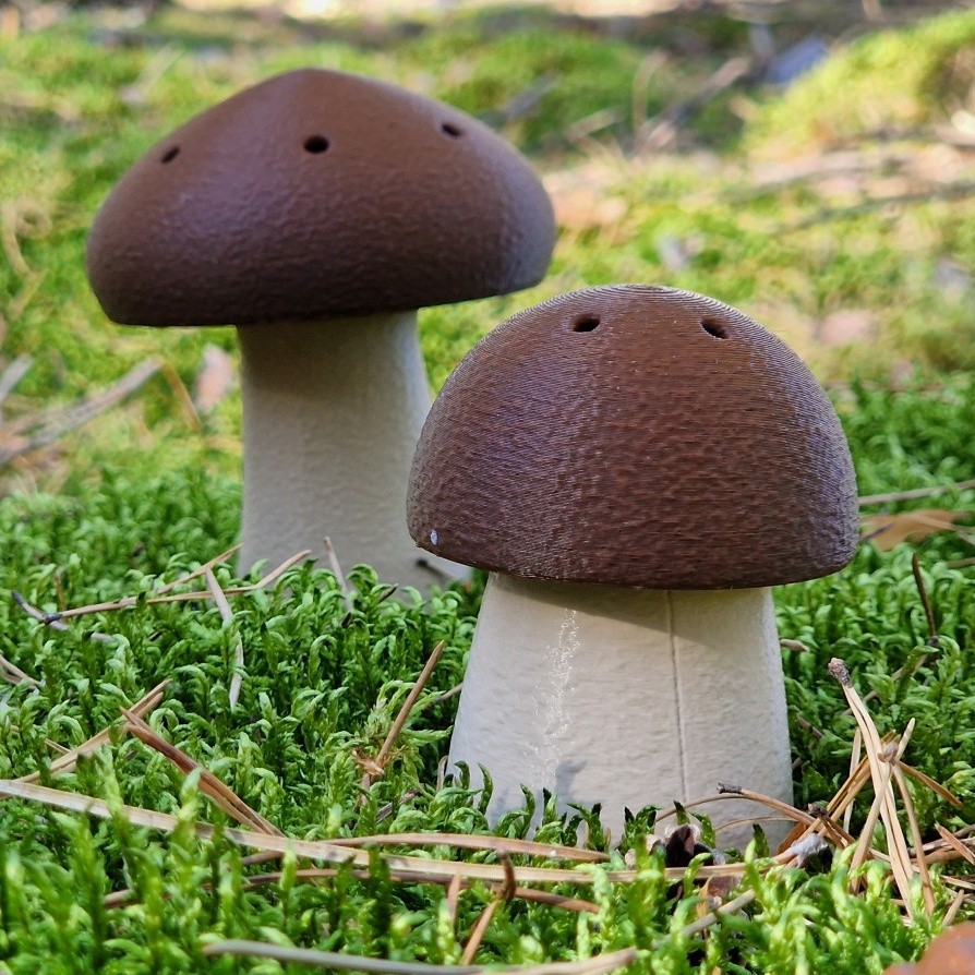 Customer Review Image