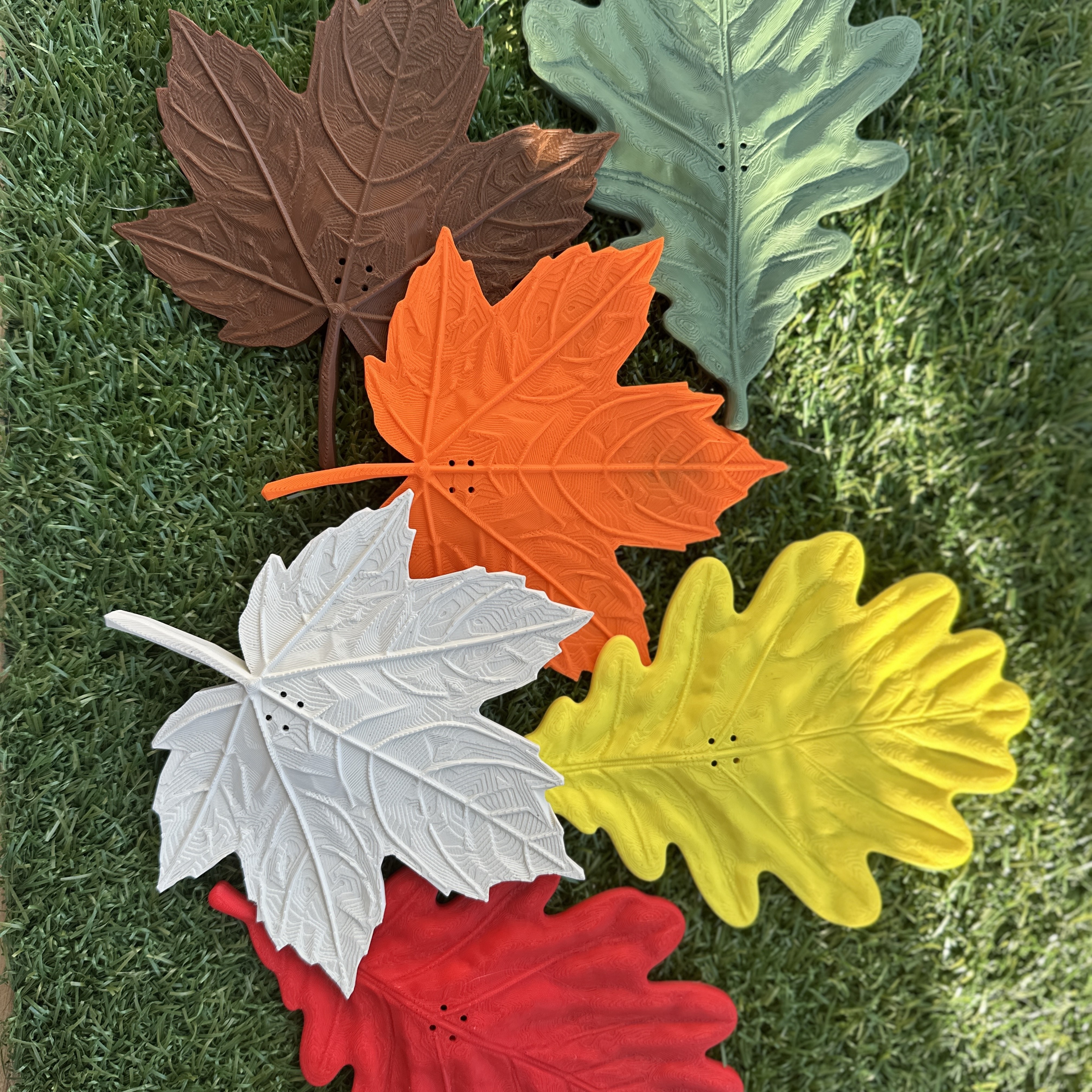 Customer Review Image