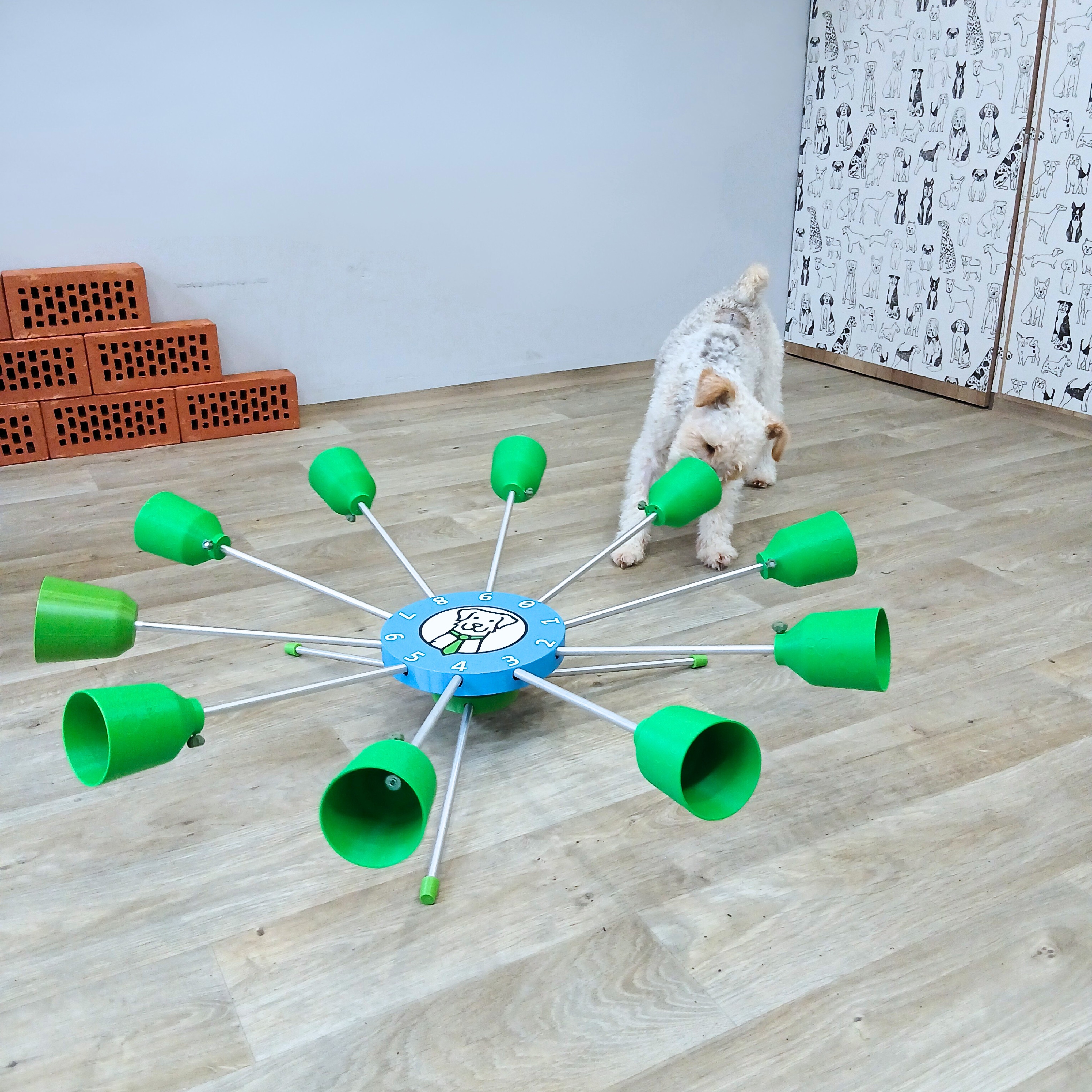Carrousel olfactif pour entraînements de scent training (manuel)