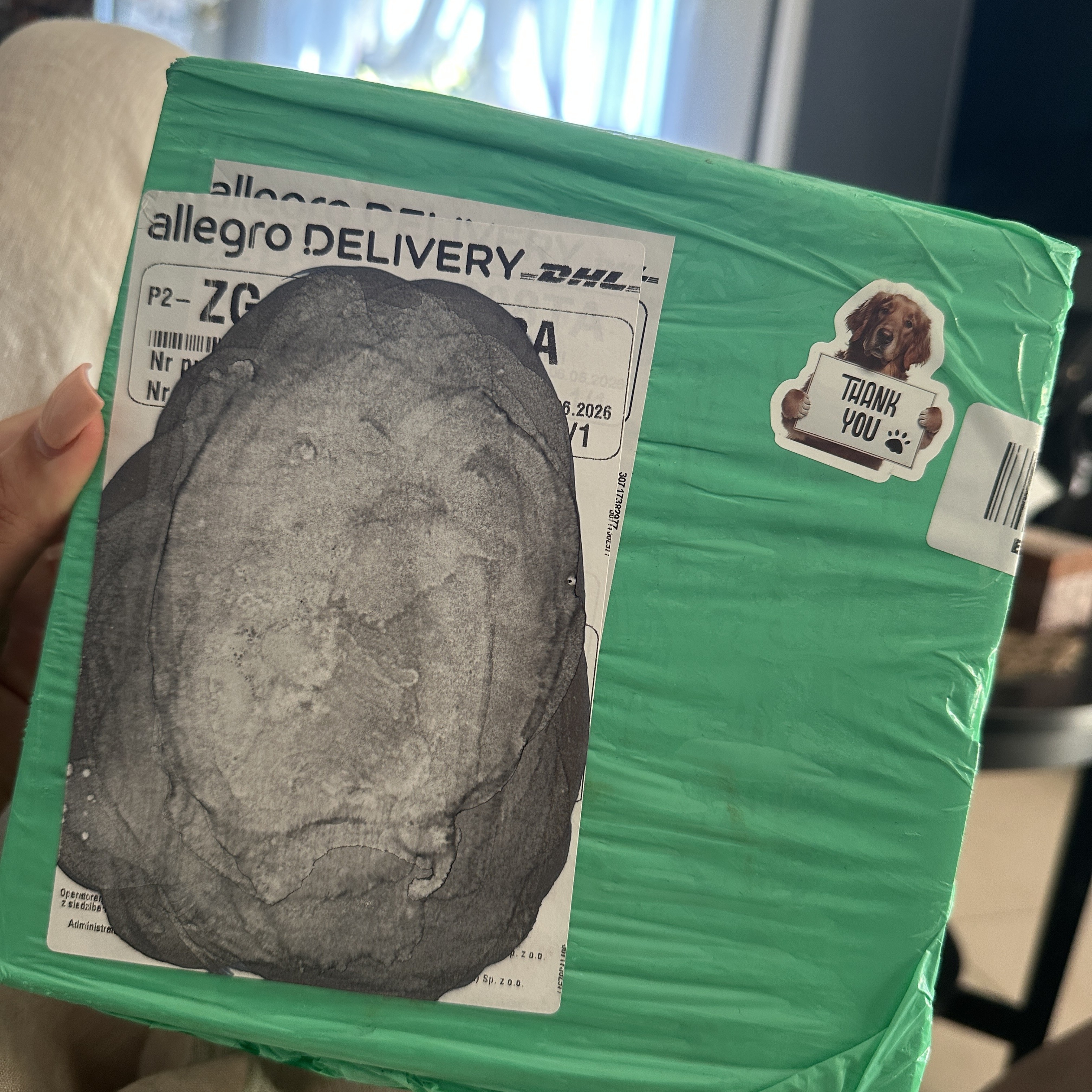 📦 Adoptioi Pimeä Paketti: Huuto alkaen 1 zł!