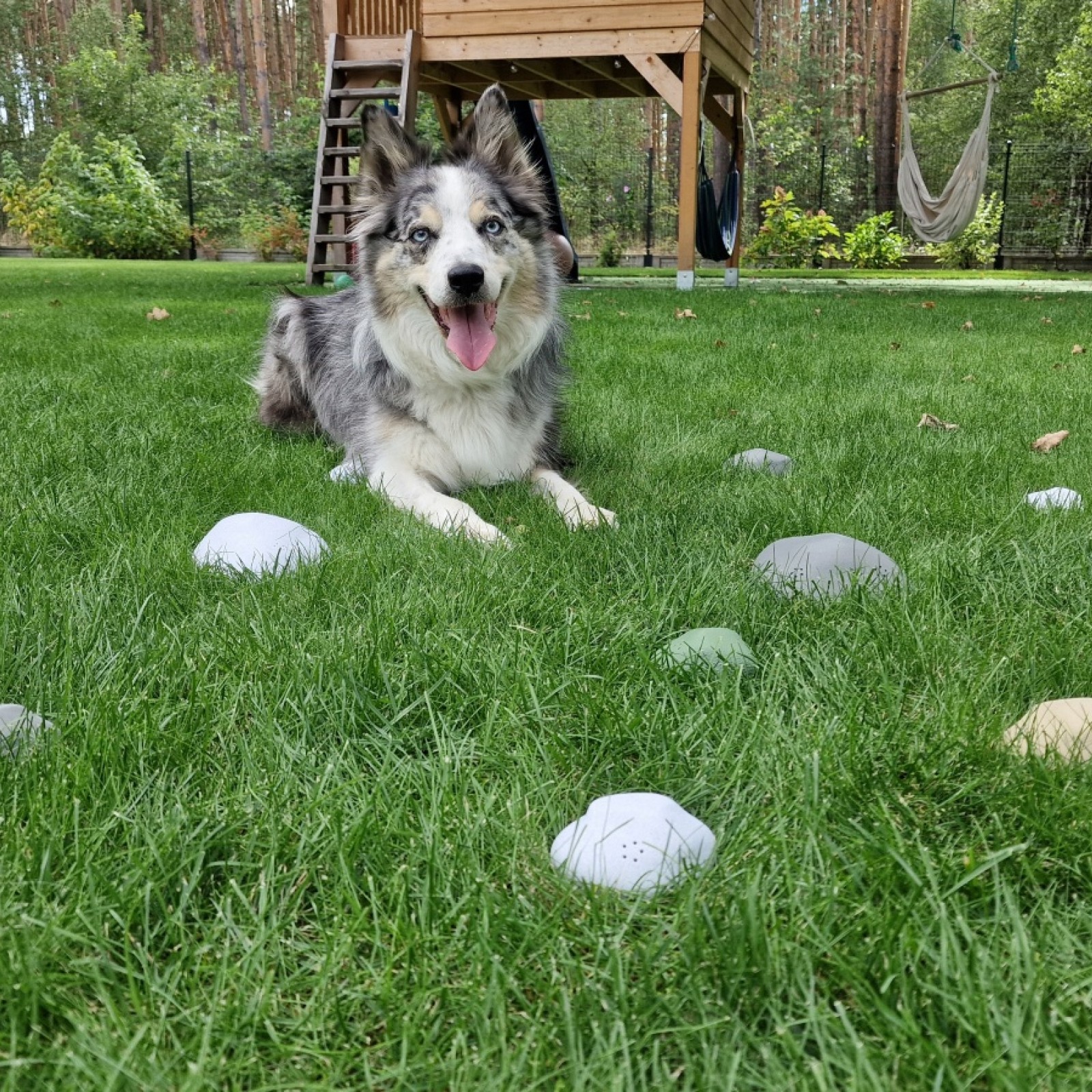 Customer Review Image