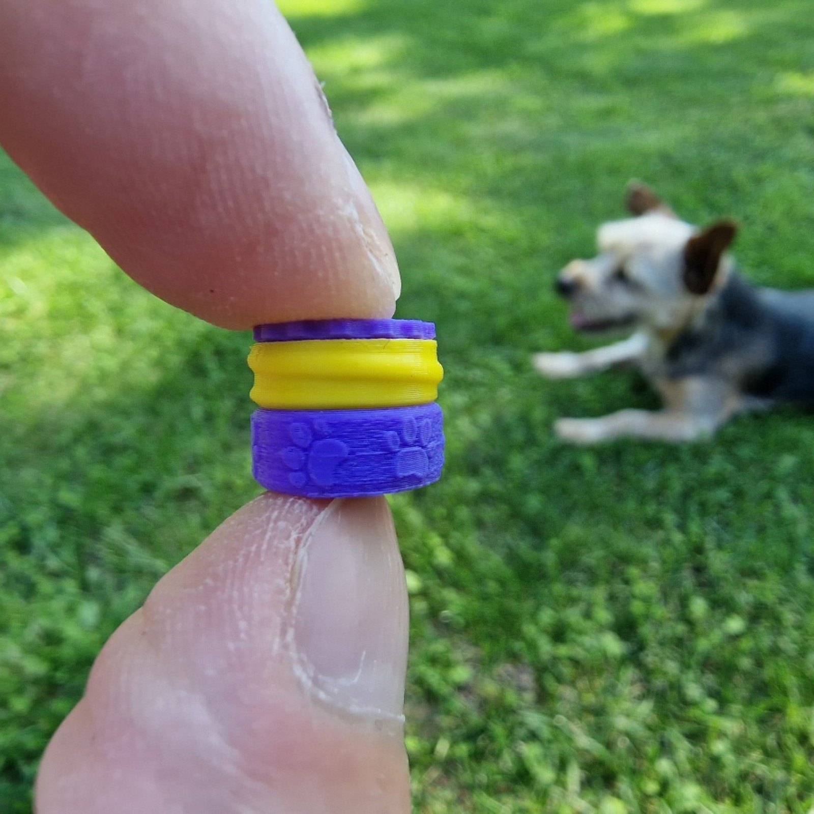 Customer Review Image