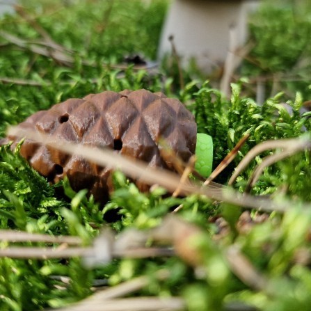 Customer Review Image