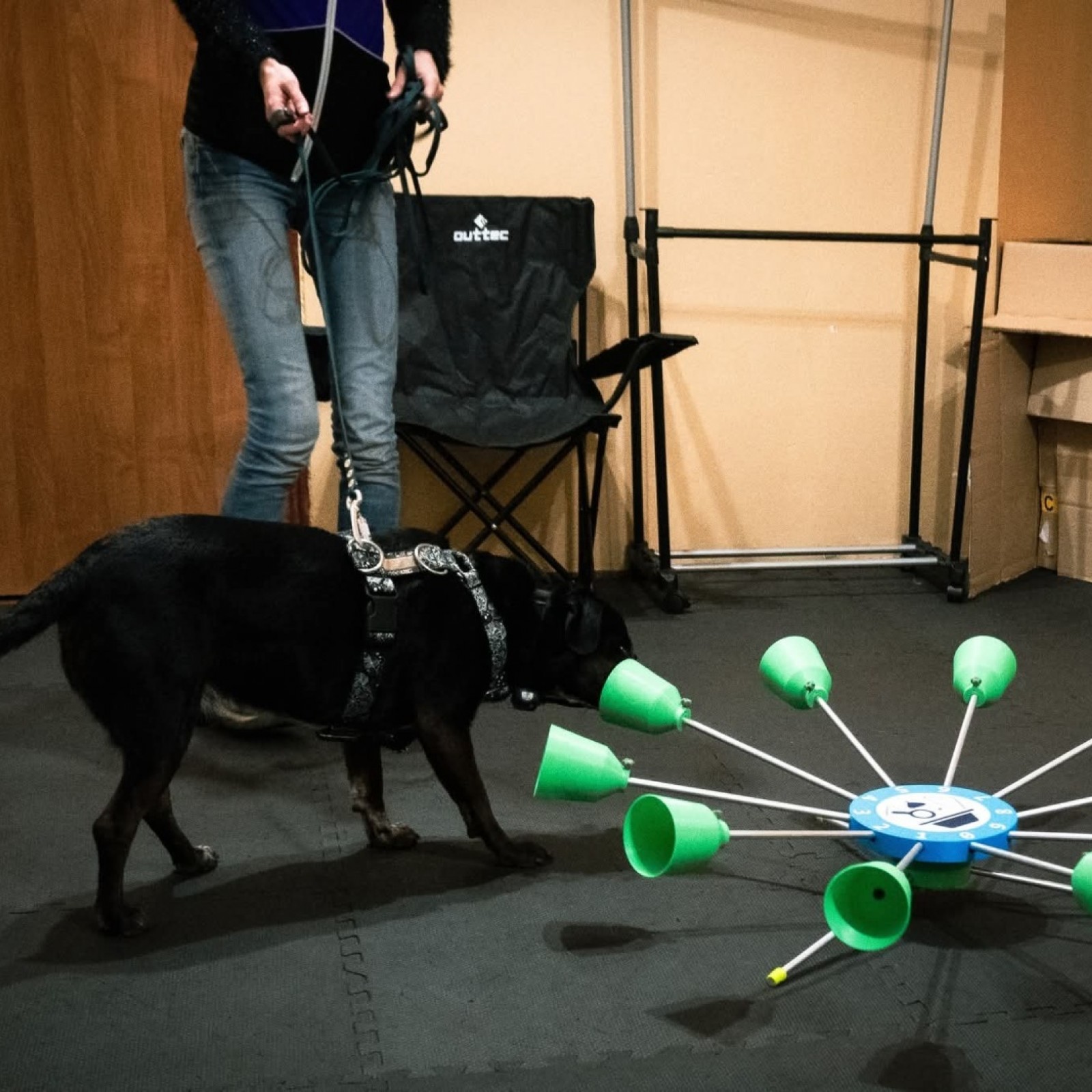 Customer Review Image