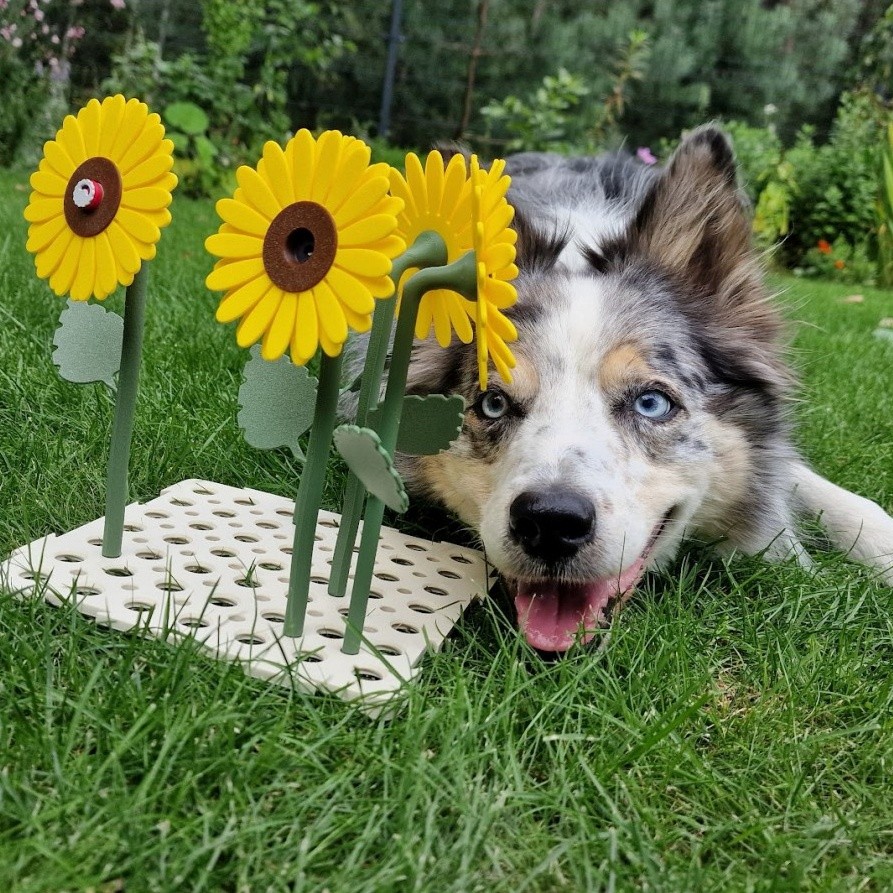 Customer Review Image