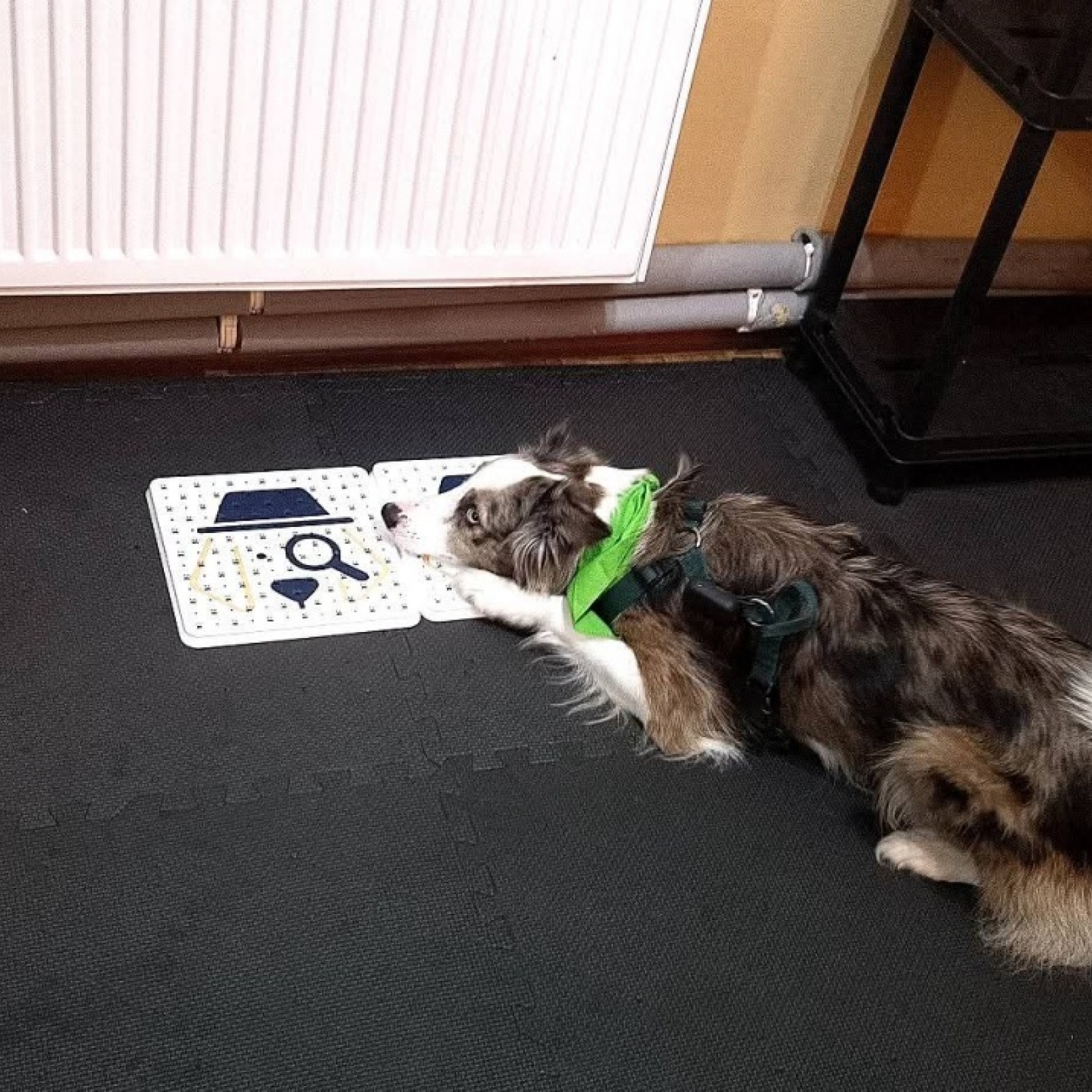 Customer Review Image