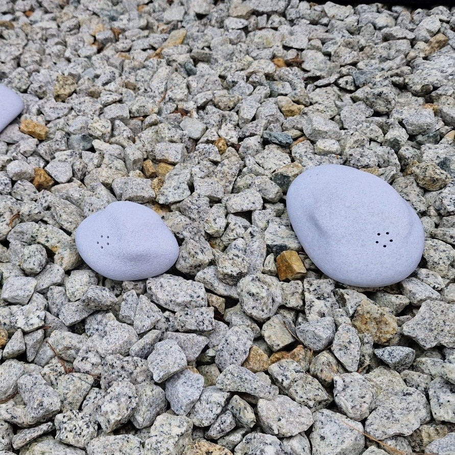 Customer Review Image